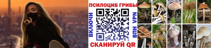 что такое наркотик  гидра сайт  Галлюциногенные грибы мицелий  Братск 